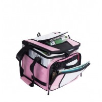 2020 Hot Sale Foldable High Quality Bag Insulated Cooler Food Bags